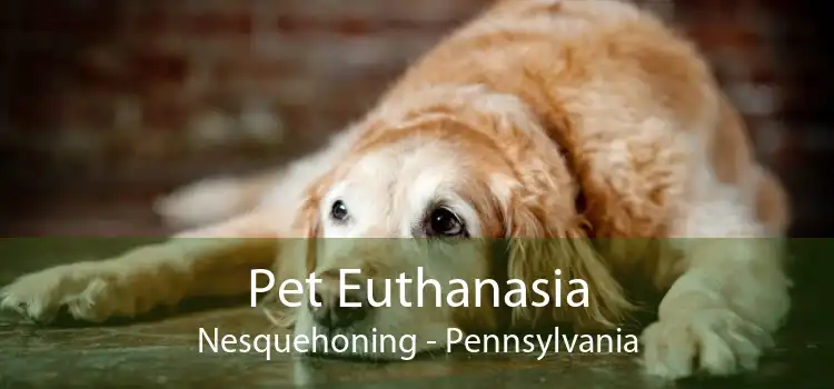 Pet Euthanasia Nesquehoning - Pennsylvania