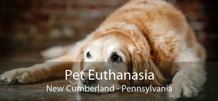 Pet Euthanasia New Cumberland - Pennsylvania
