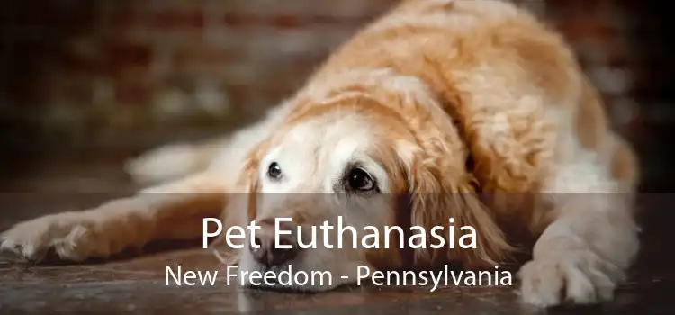 Pet Euthanasia New Freedom - Pennsylvania