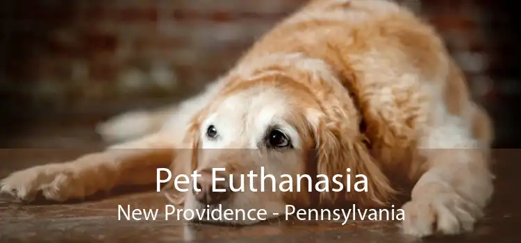 Pet Euthanasia New Providence - Pennsylvania