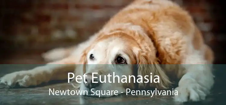 Pet Euthanasia Newtown Square - Pennsylvania