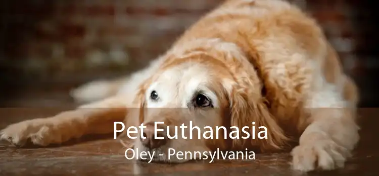 Pet Euthanasia Oley - Pennsylvania