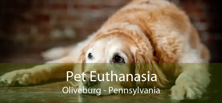 Pet Euthanasia Oliveburg - Pennsylvania