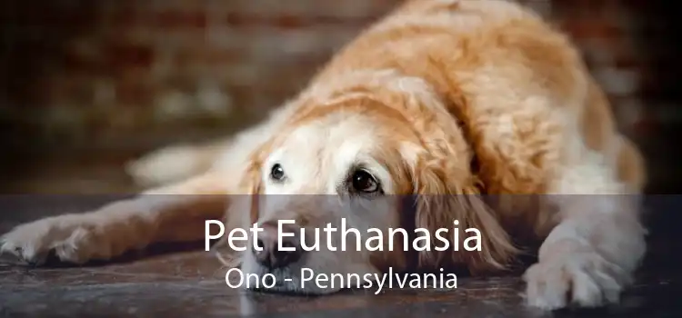 Pet Euthanasia Ono - Pennsylvania