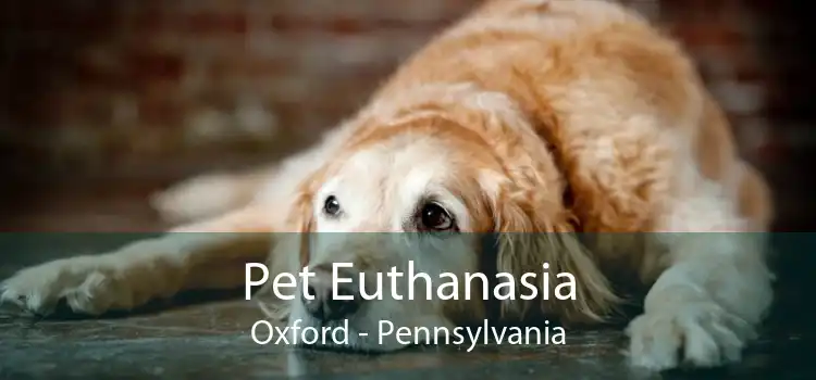 Pet Euthanasia Oxford - Pennsylvania
