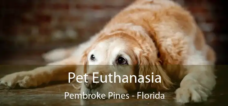 Pet Euthanasia Pembroke Pines - Florida