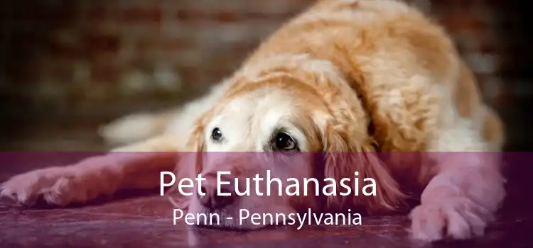 Pet Euthanasia Penn - Pennsylvania