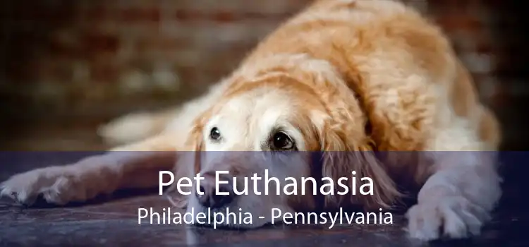 Pet Euthanasia Philadelphia - Pennsylvania