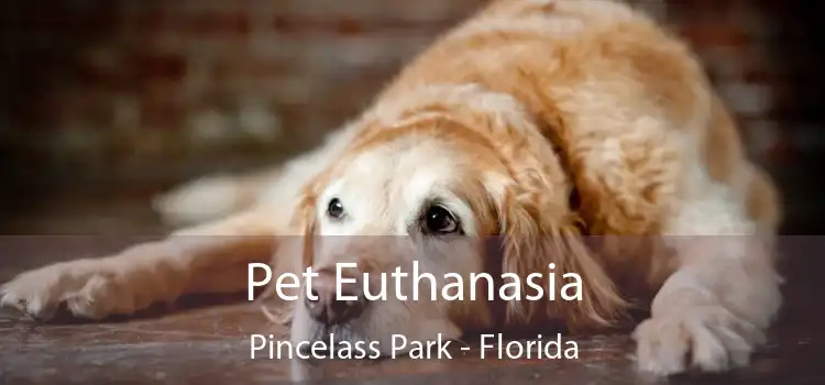 Pet Euthanasia Pincelass Park - Florida