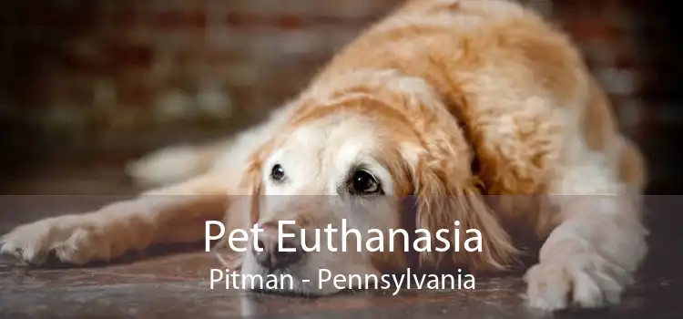 Pet Euthanasia Pitman - Pennsylvania