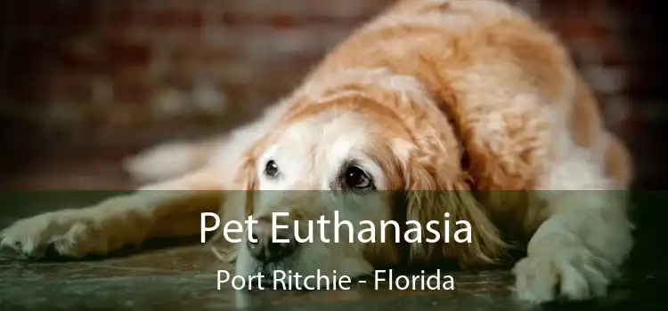 Pet Euthanasia Port Ritchie - Florida