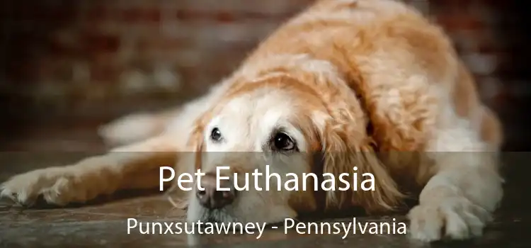 Pet Euthanasia Punxsutawney - Pennsylvania