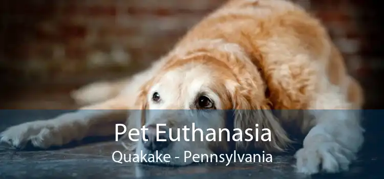 Pet Euthanasia Quakake - Pennsylvania