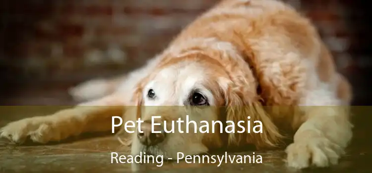 Pet Euthanasia Reading - Pennsylvania