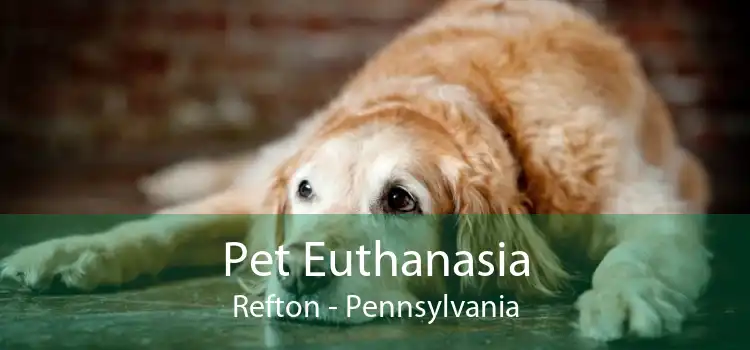 Pet Euthanasia Refton - Pennsylvania