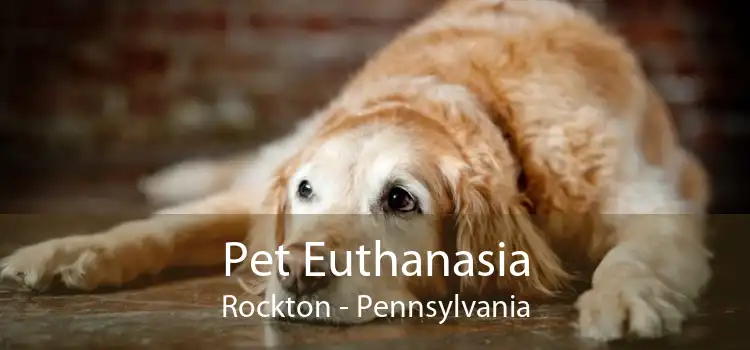 Pet Euthanasia Rockton - Pennsylvania