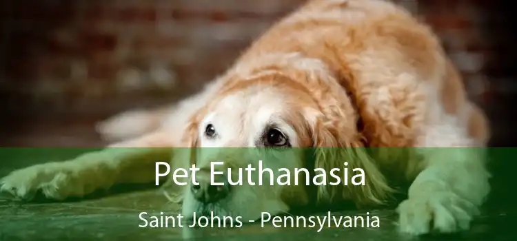 Pet Euthanasia Saint Johns - Pennsylvania