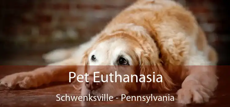 Pet Euthanasia Schwenksville - Pennsylvania