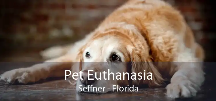 Pet Euthanasia Seffner - Florida