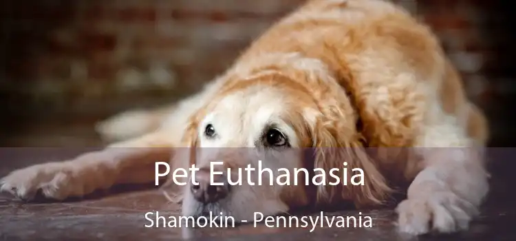 Pet Euthanasia Shamokin - Pennsylvania
