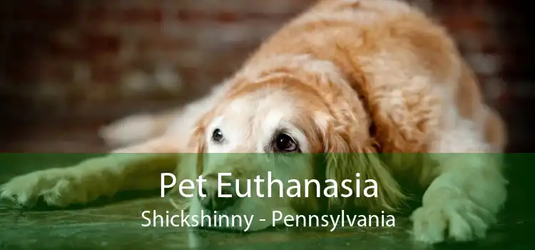 Pet Euthanasia Shickshinny - Pennsylvania