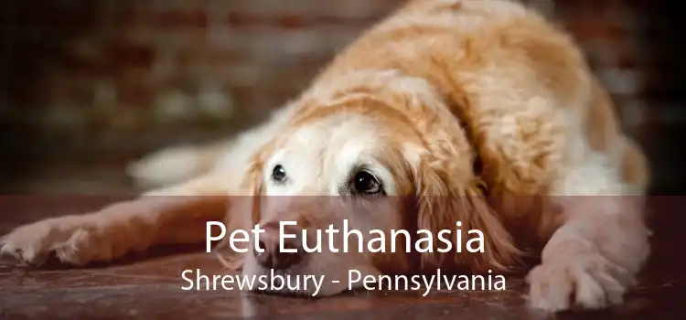 Pet Euthanasia Shrewsbury - Pennsylvania