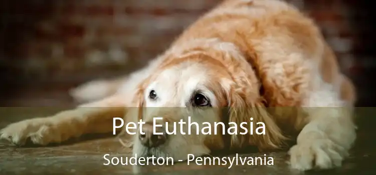 Pet Euthanasia Souderton - Pennsylvania