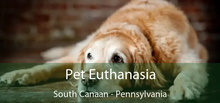 Pet Euthanasia South Canaan - Pennsylvania