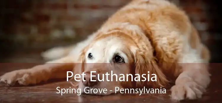 Pet Euthanasia Spring Grove - Pennsylvania