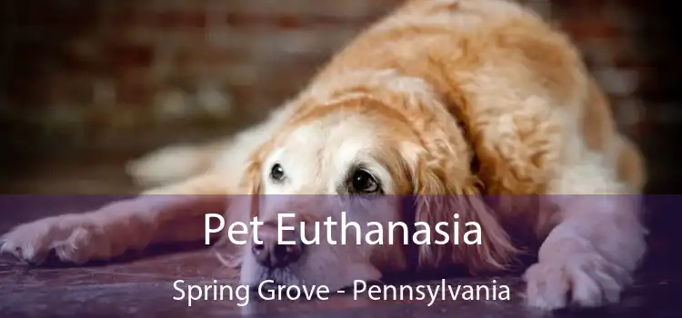 Pet Euthanasia Spring Grove - Pennsylvania