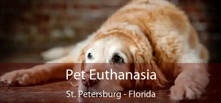 Pet Euthanasia St. Petersburg - Florida