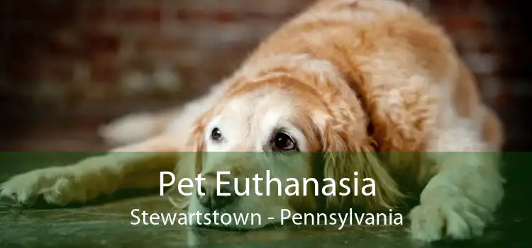 Pet Euthanasia Stewartstown - Pennsylvania