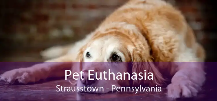 Pet Euthanasia Strausstown - Pennsylvania