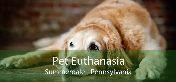Pet Euthanasia Summerdale - Pennsylvania