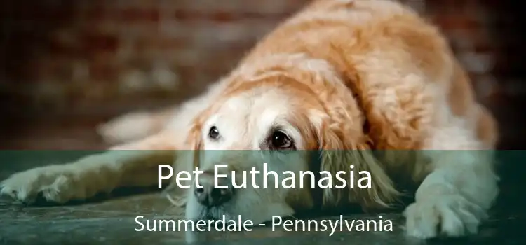Pet Euthanasia Summerdale - Pennsylvania