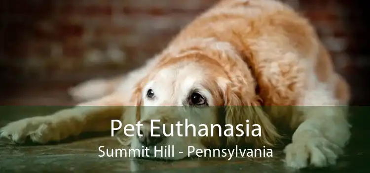 Pet Euthanasia Summit Hill - Pennsylvania