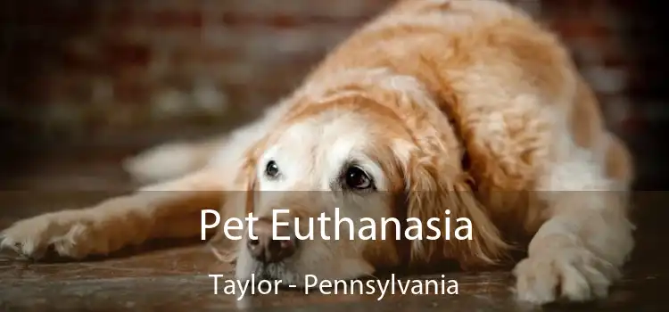 Pet Euthanasia Taylor - Pennsylvania