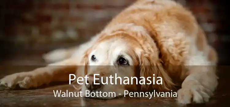 Pet Euthanasia Walnut Bottom - Pennsylvania