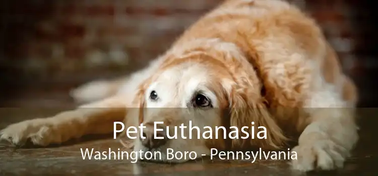Pet Euthanasia Washington Boro - Pennsylvania