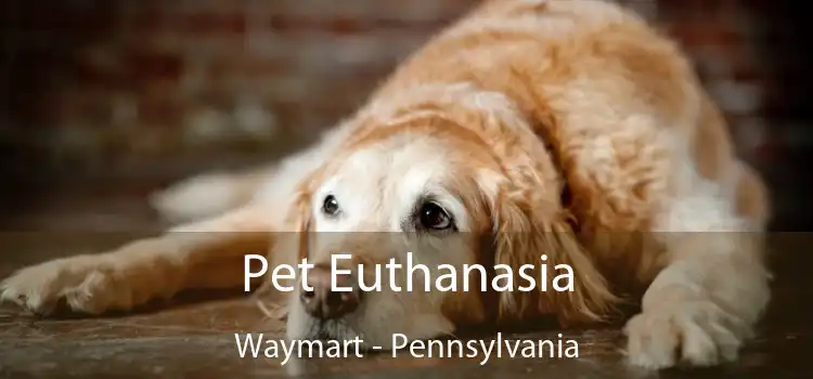 Pet Euthanasia Waymart - Pennsylvania