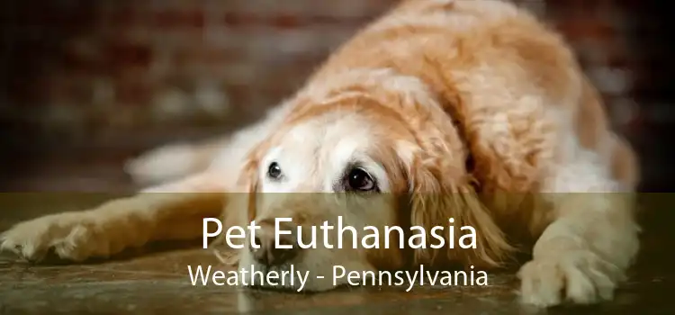 Pet Euthanasia Weatherly - Pennsylvania