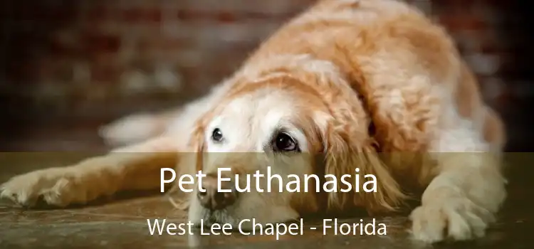 Pet Euthanasia West Lee Chapel - Florida