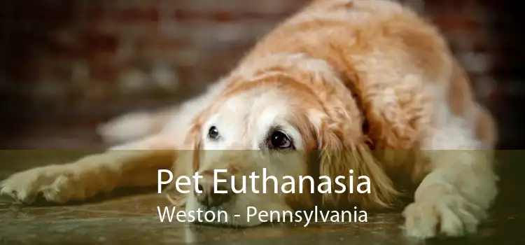 Pet Euthanasia Weston - Pennsylvania