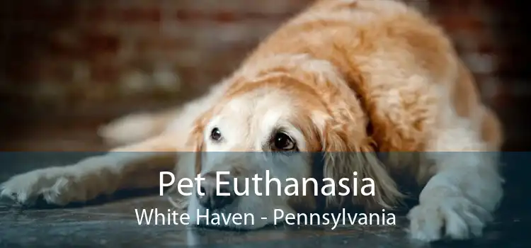 Pet Euthanasia White Haven - Pennsylvania