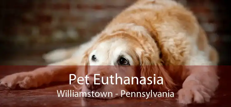 Pet Euthanasia Williamstown - Pennsylvania