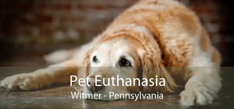 Pet Euthanasia Witmer - Pennsylvania