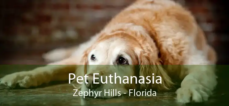 Pet Euthanasia Zephyr Hills - Florida