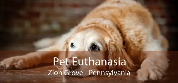 Pet Euthanasia Zion Grove - Pennsylvania