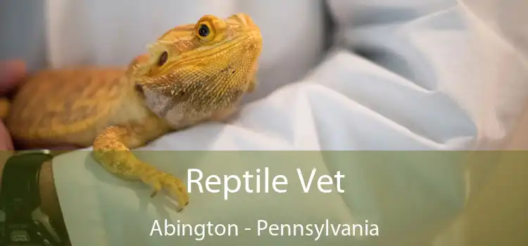 Reptile Vet Abington - Pennsylvania