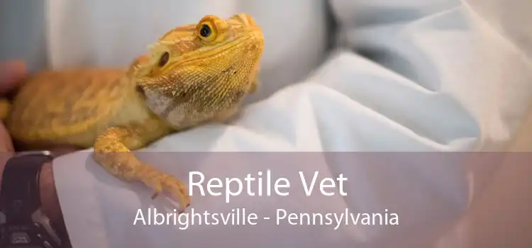 Reptile Vet Albrightsville - Pennsylvania